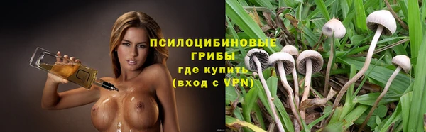 а пвп мука Армянск