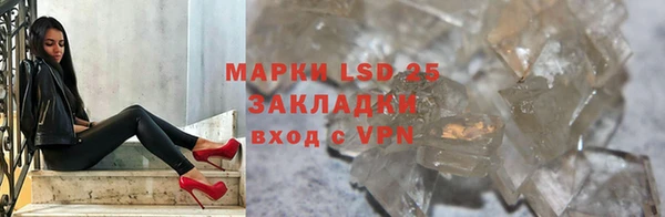 ПСИЛОЦИБИНОВЫЕ ГРИБЫ Арсеньев