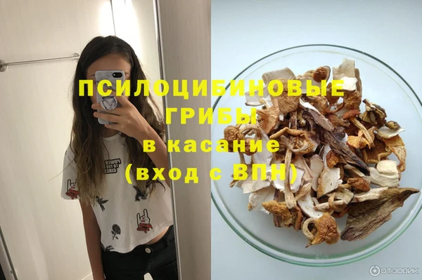 а пвп мука Армянск