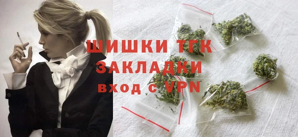 ПСИЛОЦИБИНОВЫЕ ГРИБЫ Арсеньев