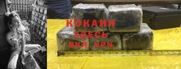 ПСИЛОЦИБИНОВЫЕ ГРИБЫ Арсеньев
